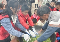 厦门军营村采茶制茶亲子研学活动 | 指尖摘绿色，炭火焙乡愁 ...