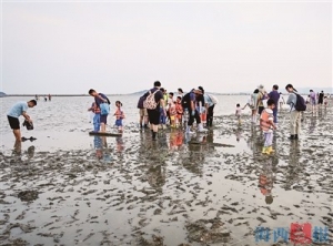 暑假厦门海边总是"长"满了人 文明赶海保护海洋生态