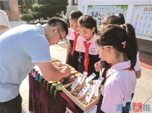 多彩活动迎接开学