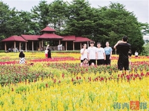错峰出游 赏秋受青睐