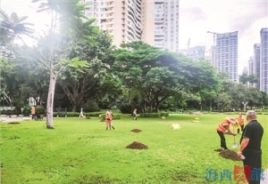 筼筜湖植物“贴秋膘”啦！