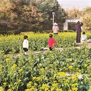 厦门多个公园巧装扮 邀您新春去游园