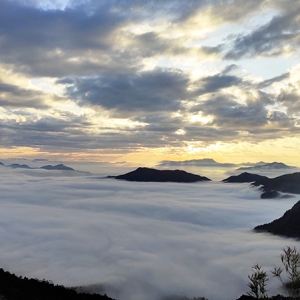 在厦门云端种下春天：军营村高山植树节邀您共绘生态画卷