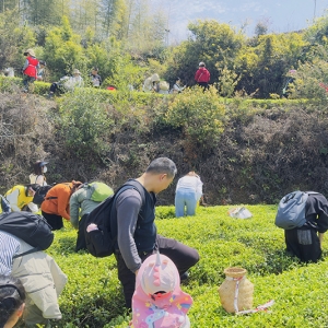厦门军营村：山林间的团建欢歌