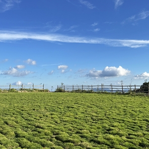 军营村云境星空营地：厦门之巅的大自然体验